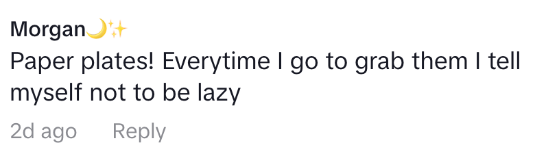Comment about paper plates, mentioning a personal struggle to not be lazy when using them