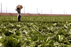 Trump administration reverses USDA office closures...