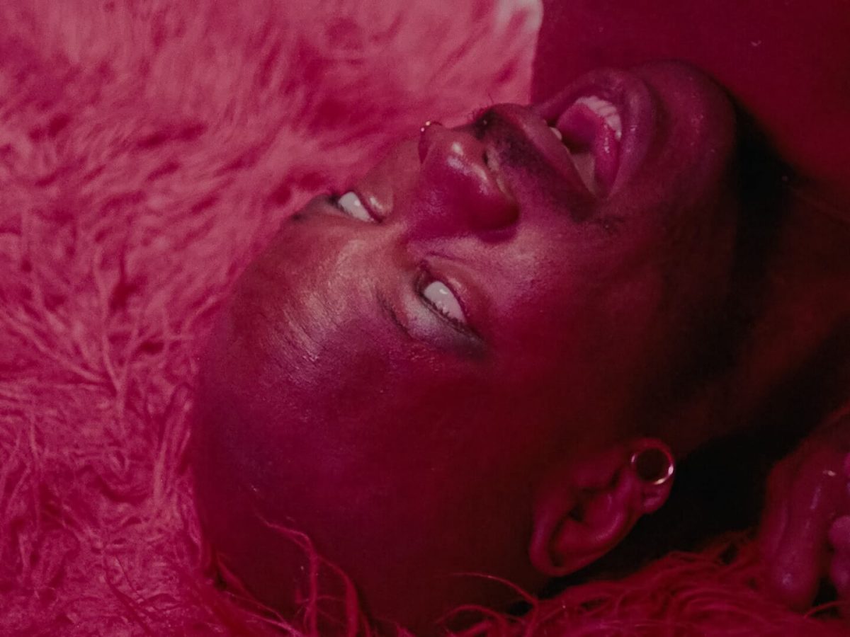 Review: The Visitor