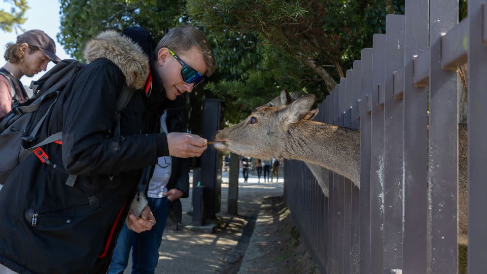 Japan is a model of cleanliness....