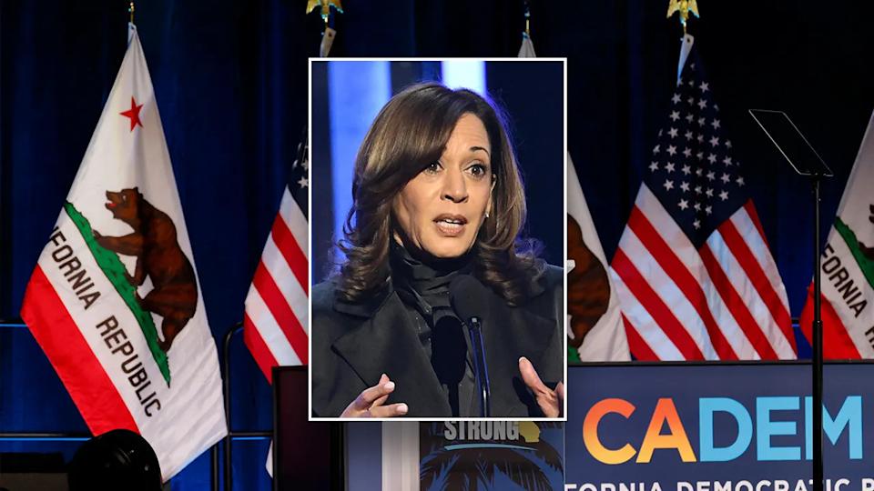 Kamala Harris, California Democratic convention