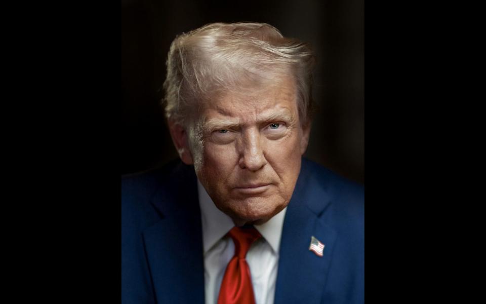 New Donald Trump portrait