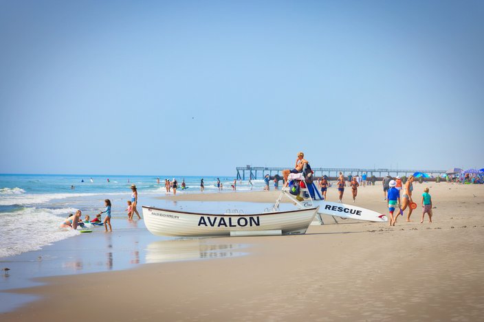 Limited - Avalon Beaches