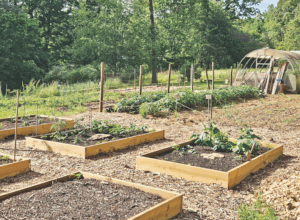 Red’s Farm at Ormewood Park Becomes...
