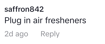 Comment by saffron842 saying, "Plug in air fresheners," with a timestamp of 2 days ago
