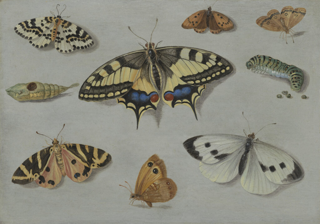 Curatorial Chemistry Proves Phenomenal as National...