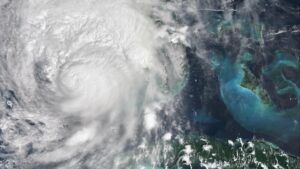 Acting head of FEMA said he...