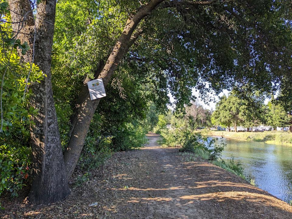 The Anderson Cottonwood Irrigation District canal where it passes under Cypress Avenue in Redding. Two wet winters left the canal brimming in Redding on May 1, 2024.