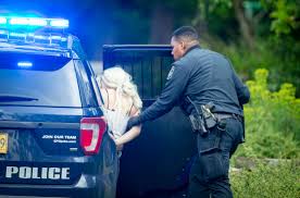 Driver Who Allegedly Fled Police After...