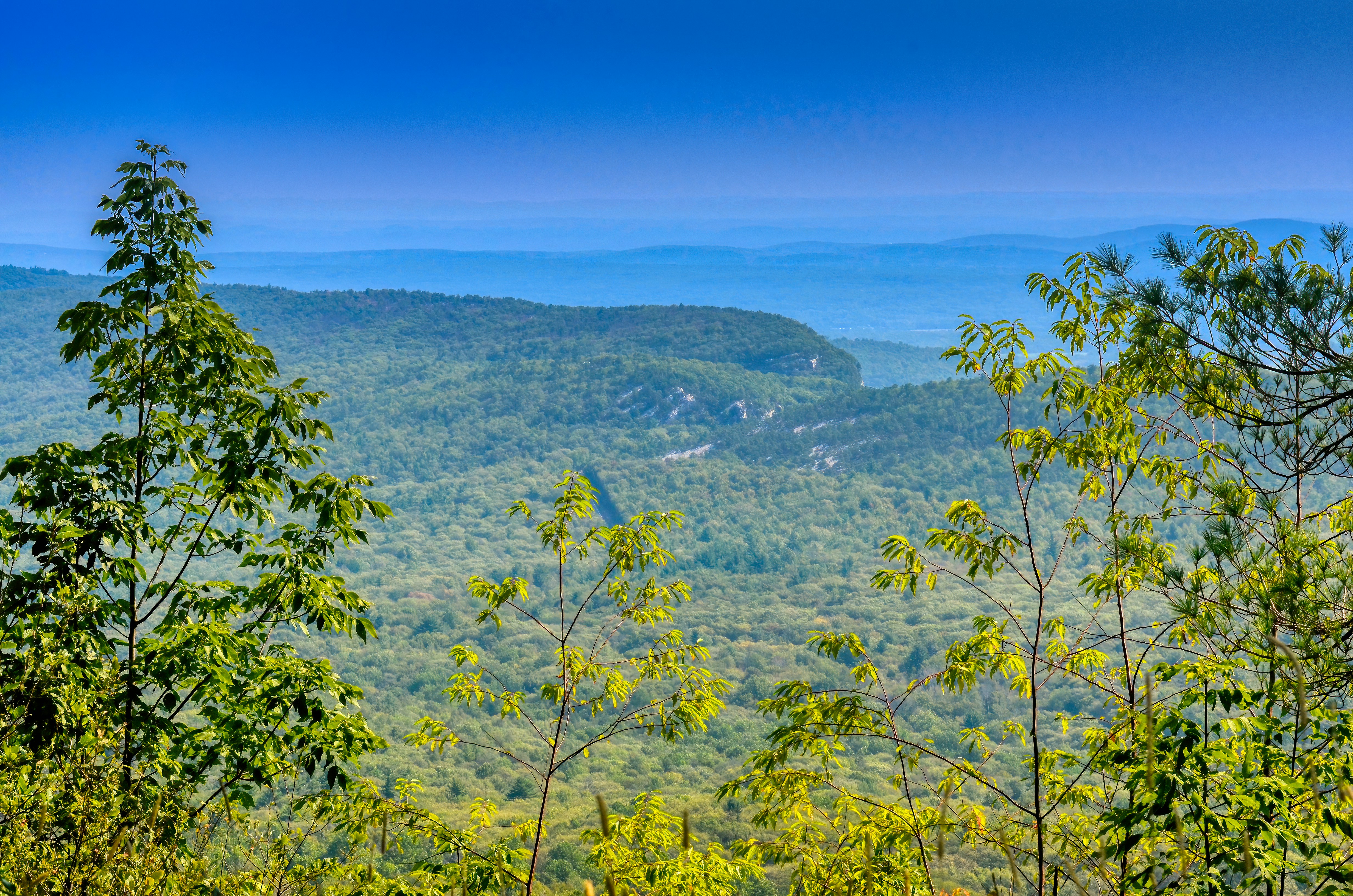 Scenic view from New York mountain.